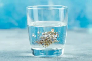 Best Water Filter for Microplastics